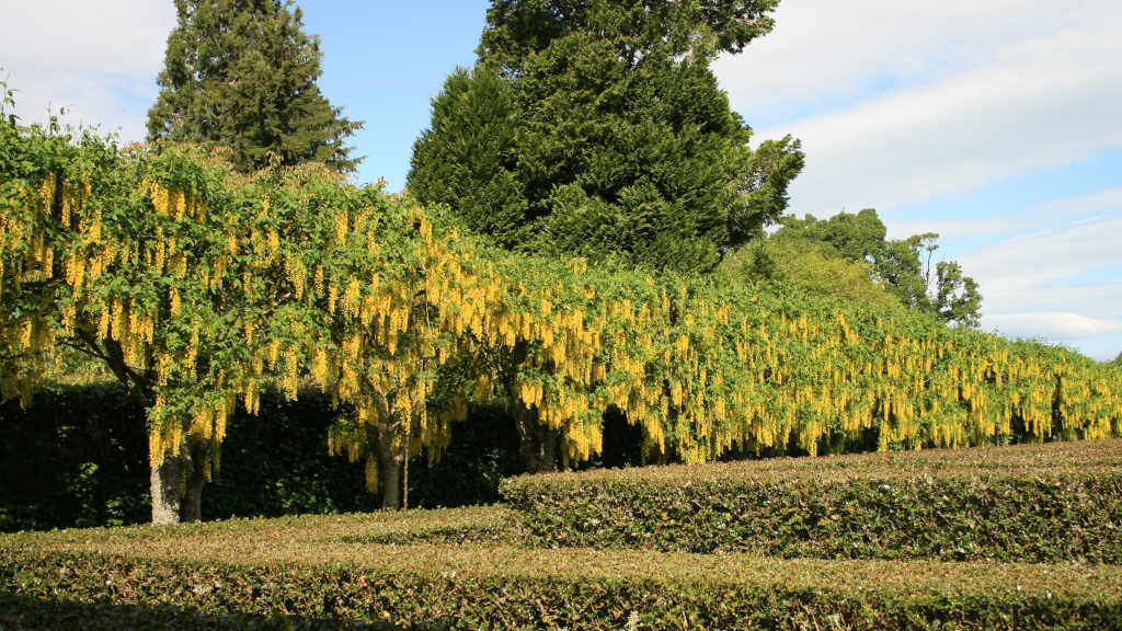 02 Gardens at Cawder Castle W1024