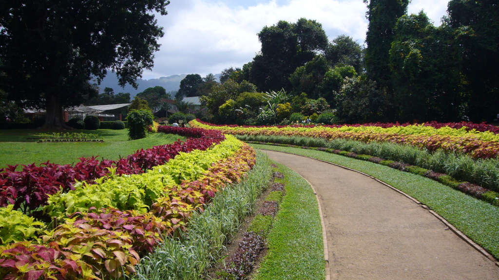 06 Botanic Gardens Kandy W1024