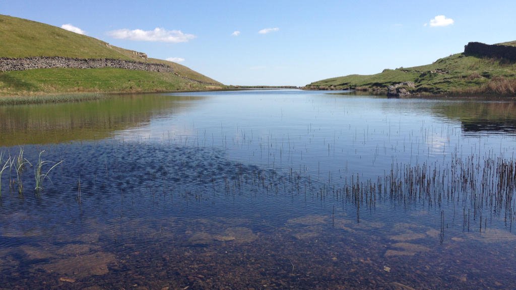 07 Alcock Tarn Lake District W1024