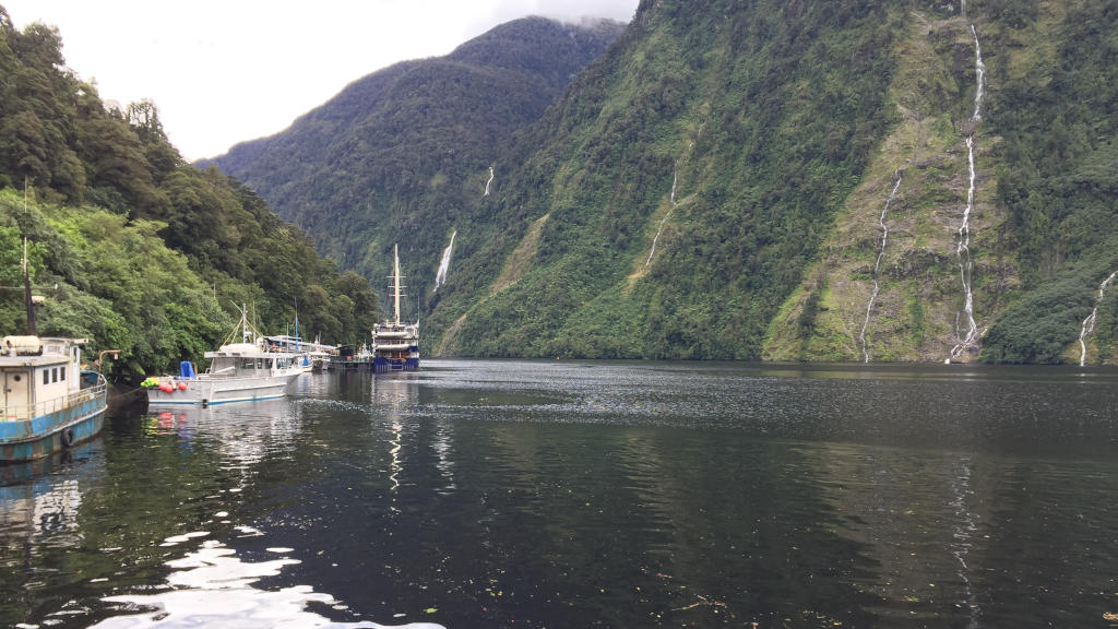 12 Doubtful Sound NZ Feb 2020 W1024