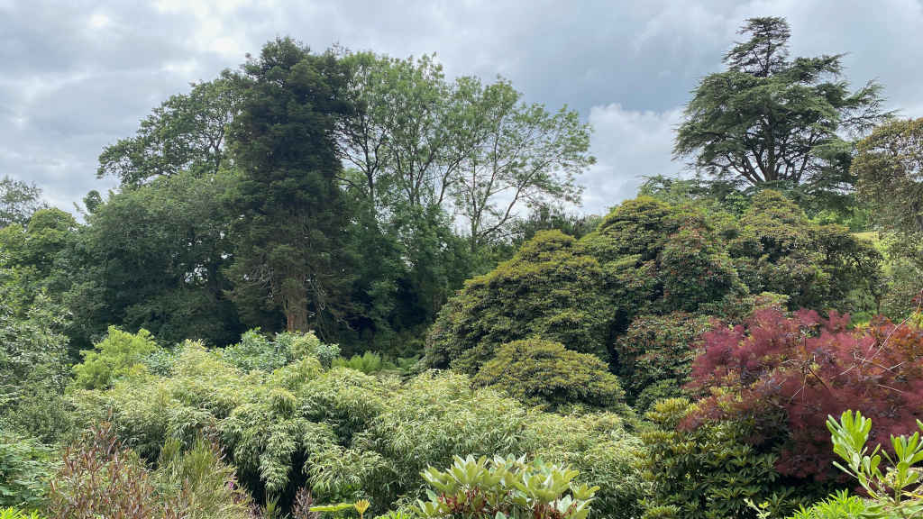 14 Lost Gardens of Heligan Cornwall W1024