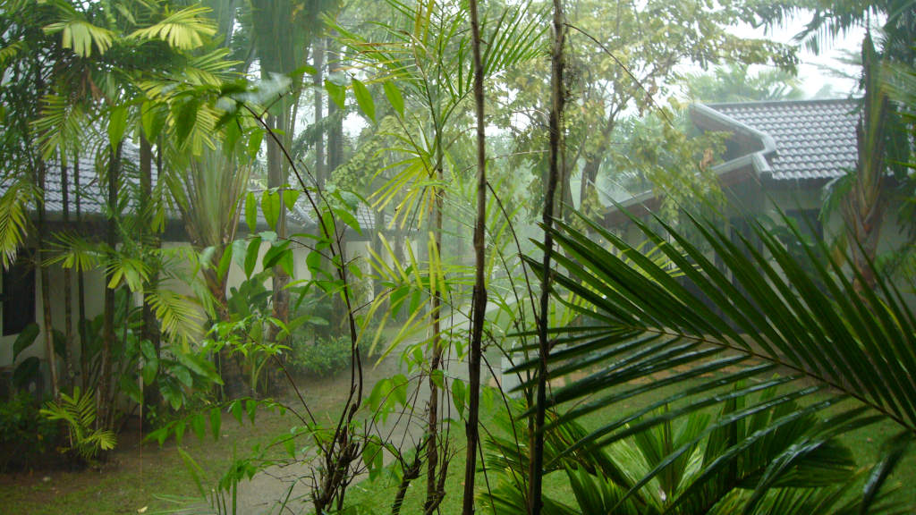 20 Rain shower in Khao Lak W1024